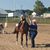 LeAnn Koenig Olson's profile image