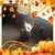 Carol Murphy's profile image