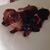 Joan Bonsky's profile image