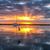 Ric Williams's profile image