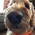 Ellyn Schneider's profile image