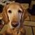 Cindy Petres Kropp's profile image