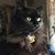Joy Kenen's profile image