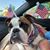 Jeff Barks's profile image