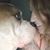 Mandi Holland's profile image