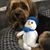 Jennifer Marcotte-Burke's profile image