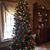 Sue Keehle's profile image