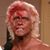 Steve Vitangeli's profile image