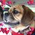 Jodi King's profile image
