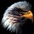 Steve Zinn's profile image