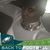 Sheneè Elzey's profile image