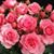 Frances Claxton's profile image