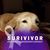 Jim Stoy's profile image
