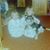 Sheri Klein's profile image