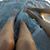 Lori Hatley's profile image