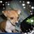 Beth Bell's profile image