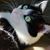 Nancy Zmek Lorenz's profile image