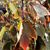 Mary Beth Hester Flory's profile image