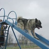 Karyl Parks's profile image