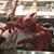 Chris Fredrick Simmons's profile image