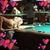 Cindy Miller's profile image