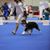 Marilyn Enterline's profile image