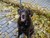 Francine C.'s profile image