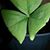 Lynn Mccauley's profile image