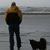 Renee Tipton's profile image
