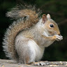 Mister P.'s profile image
