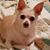 Kim Uhlich's profile image