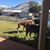 Allan Mike Hadwick's profile image