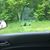 Cynthia Morrison Sugden's profile image