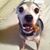 Joyce Kinney's profile image