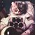 Bob Frye Sr.'s profile image