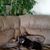 Dolores Childers's profile image