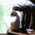 Linda Elsler's profile image