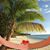 Dawn Krumich's profile image
