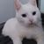 Fab Riv's profile image