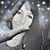 Sherri Brothers's profile image