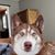 Cathy Paul Nickelson's profile image