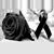 Marta Florencia Ceballos de Monroy's profile image