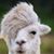 Laurie Richardson's profile image