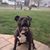 Rich Spinaci's profile image