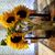 Sue Polowy's profile image