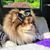 Sandra Cuzio's profile image