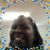 Sondra Knight's profile image