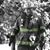 Robert P Thornton's profile image