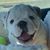Jill Bruno's profile image