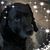 Jen Nowak's profile image